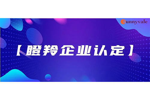 重磅 | 申威科技荣获广州开发区2020年【瞪羚企业】认定